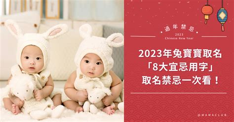 2023 兔寶寶